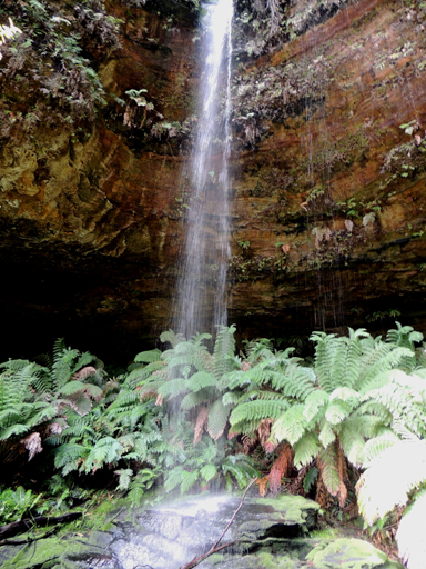  - Deanes Creek Falls